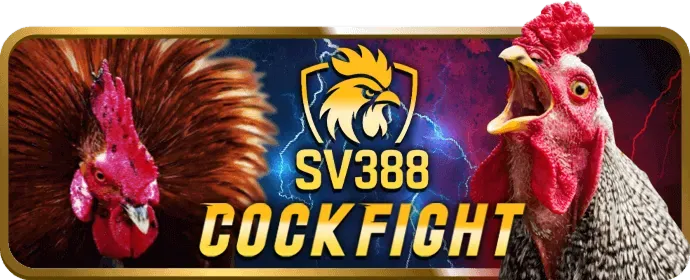 Bảo vệ dữ liệu win333 chính thức