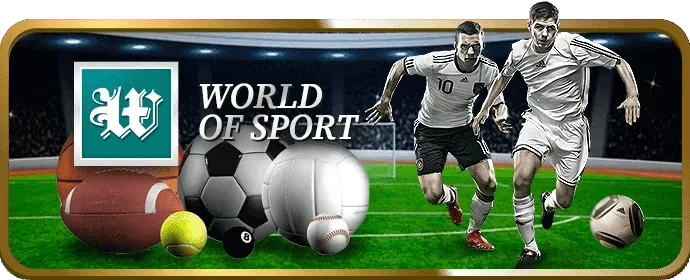 Đá Gà Trực Tuyến Win333